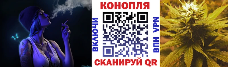 Какие есть наркотики Закаменск Псилоцибиновые грибы  COCAIN  ГАШИШ  Марихуана  A PVP  Амфетамин 
