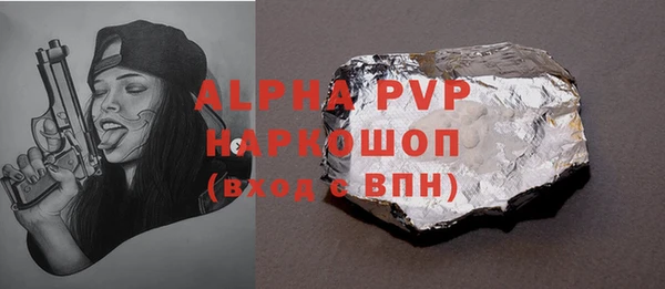 хмурый Гусь-Хрустальный