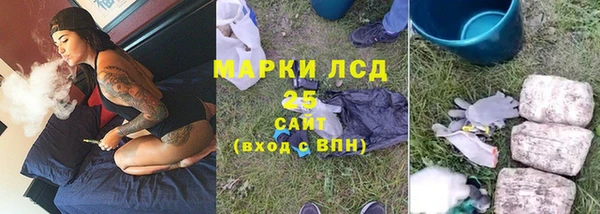 сатива Гусиноозёрск