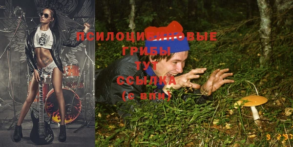 альфа пвп Горно-Алтайск